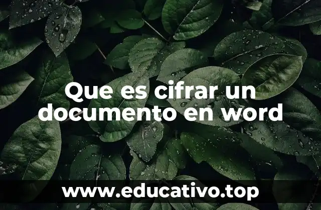 Que es cifrar un documento en word