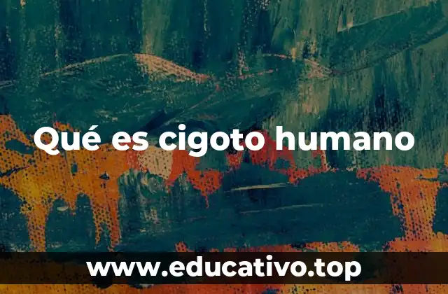 Qué es cigoto humano