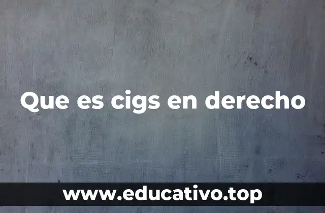 Que es cigs en derecho