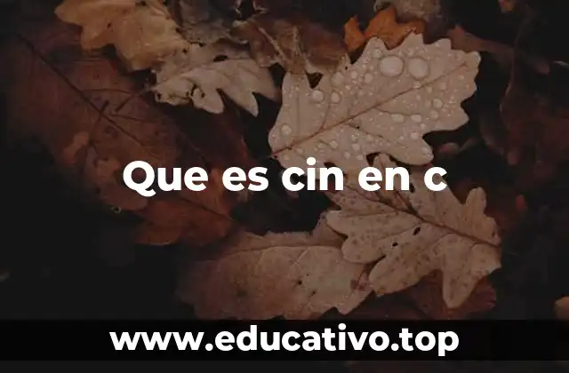 Que es cin en c