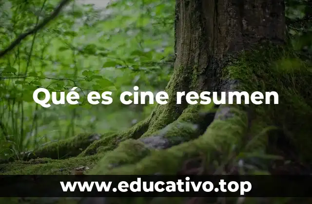 Qué es cine resumen