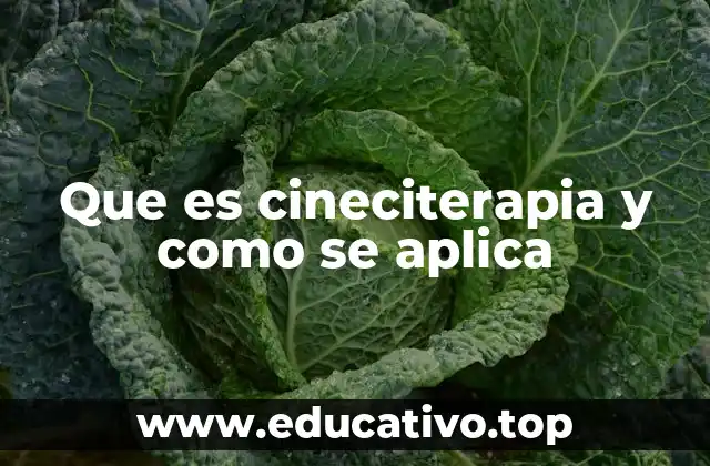 Que es cineciterapia y como se aplica