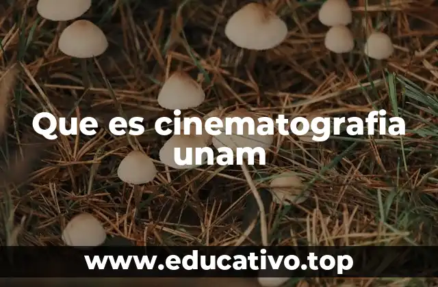 Que es cinematografia unam