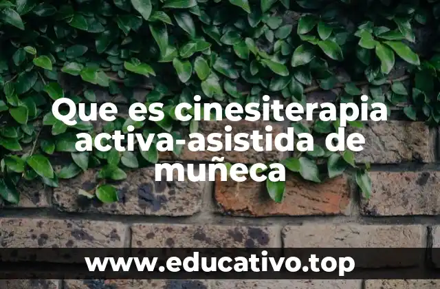 Que es cinesiterapia activa-asistida de muñeca