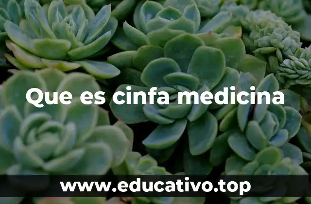 Que es cinfa medicina