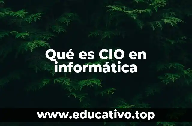 Qué es CIO en informática