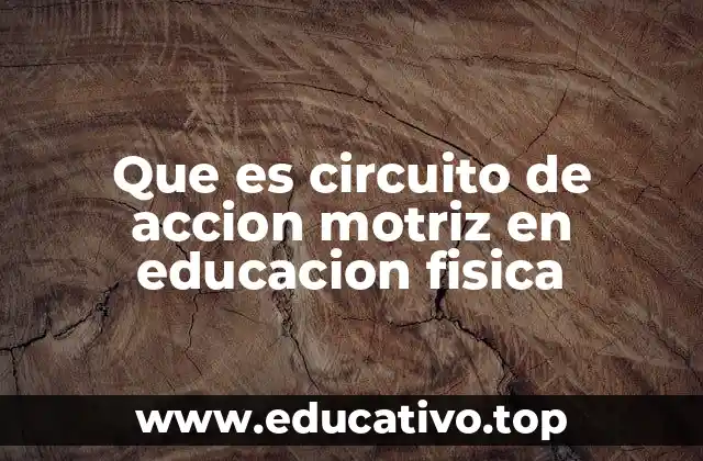 Que es circuito de accion motriz en educacion fisica
