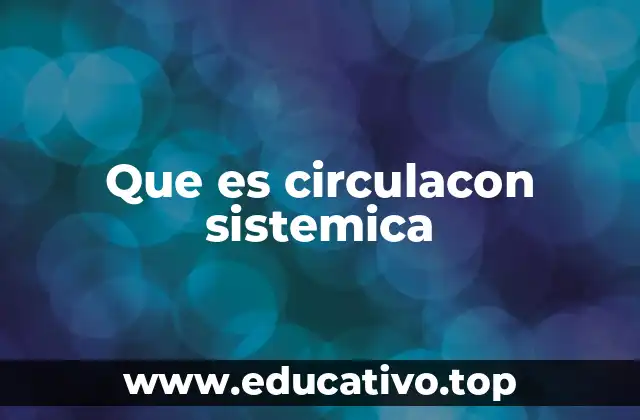 Que es circulacon sistemica
