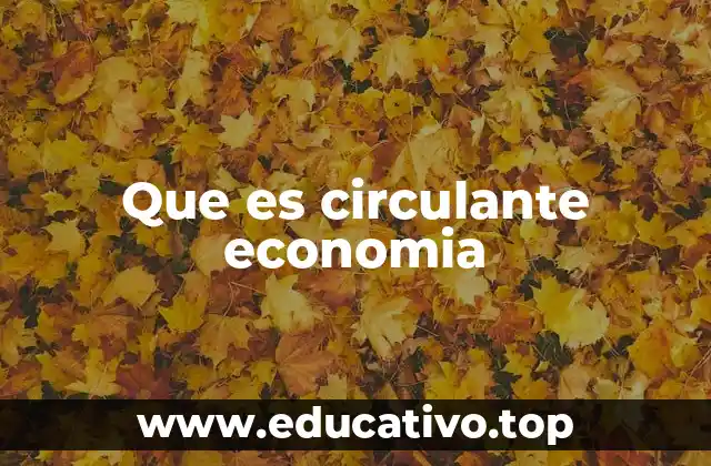 Que es circulante economia
