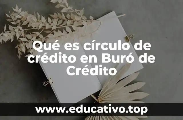 Qué es círculo de crédito en Buró de Crédito