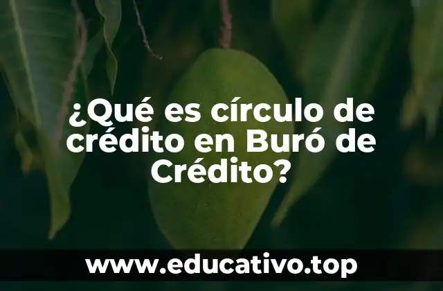 El funcionamiento del sistema crediticio en México