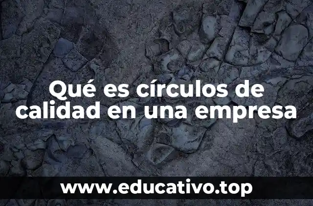 Qué es círculos de calidad en una empresa