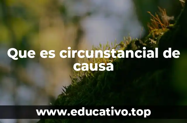 Que es circunstancial de causa