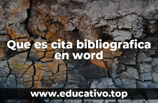 Que es cita bibliografica en word