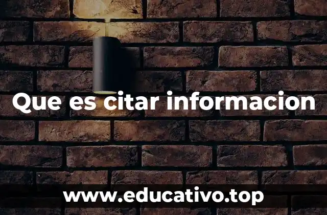 Que es citar informacion
