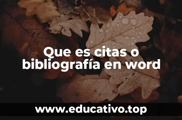Que es citas o bibliografía en word