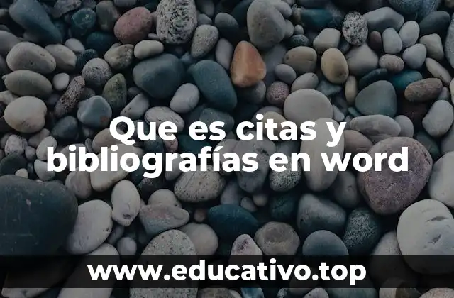 Que es citas y bibliografías en word