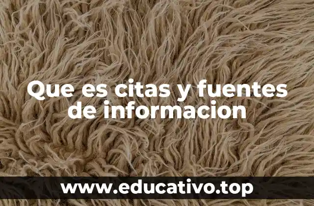Que es citas y fuentes de informacion