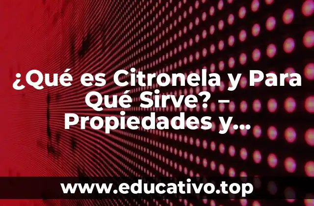 ¿Qué es Citronela y Para Qué Sirve? – Propiedades y Beneficios