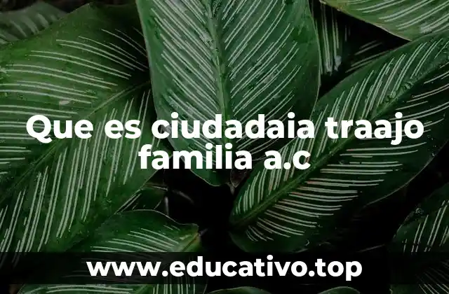Que es ciudadaia traajo familia a.c