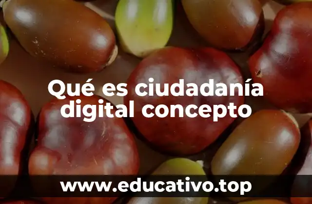 Qué es ciudadanía digital concepto