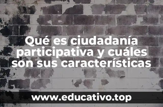 Qué es ciudadanía participativa y cuáles son sus características