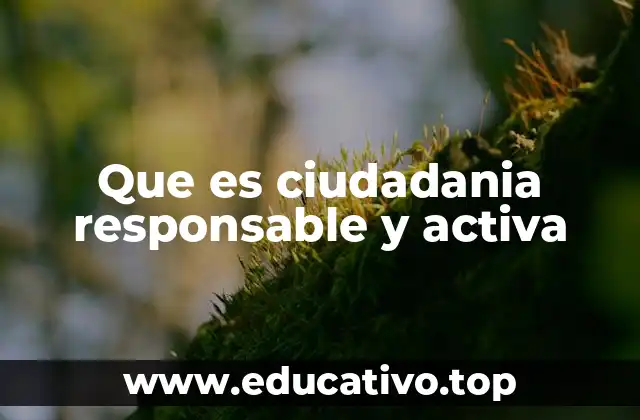 Que es ciudadania responsable y activa