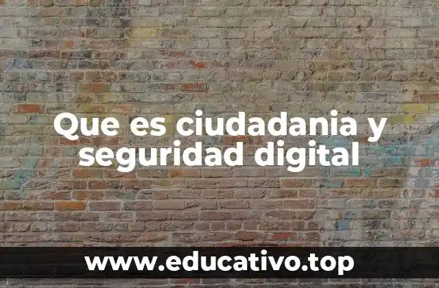 Que es ciudadania y seguridad digital