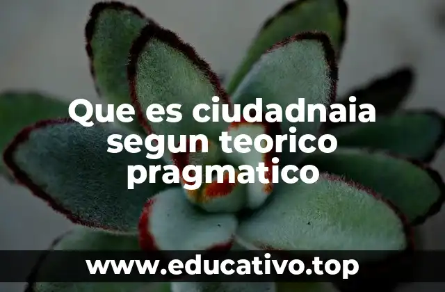 La ciudadanía como práctica social y política