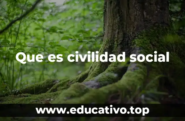 Que es civilidad social