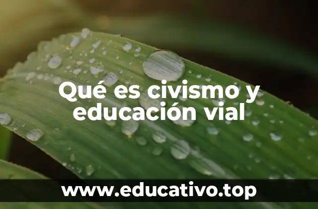 Qué es civismo y educación vial