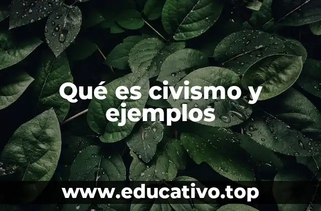 Qué es civismo y ejemplos