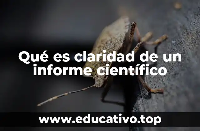 Qué es claridad de un informe científico