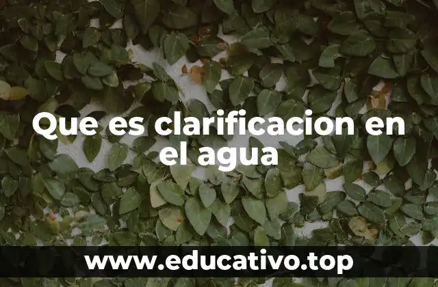 Que es clarificacion en el agua