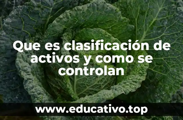 Que es clasificación de activos y como se controlan
