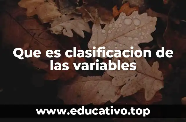 Que es clasificacion de las variables