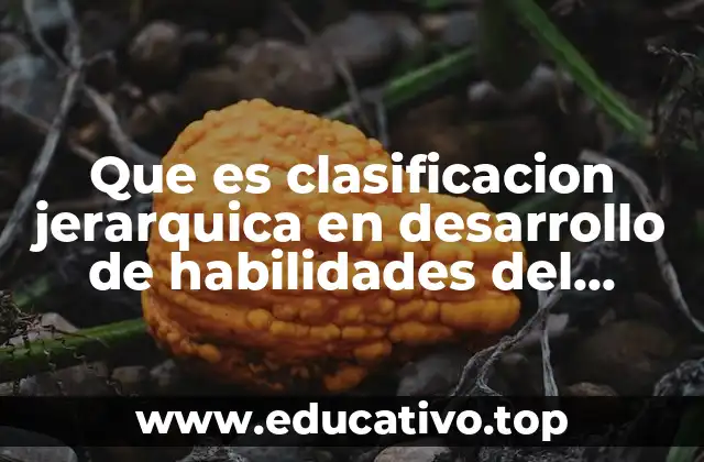 Que es clasificacion jerarquica en desarrollo de habilidades del pensamiento