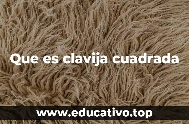 Que es clavija cuadrada
