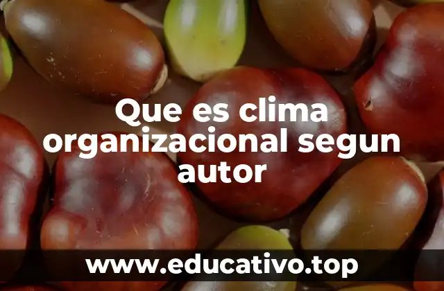 Que es clima organizacional segun autor