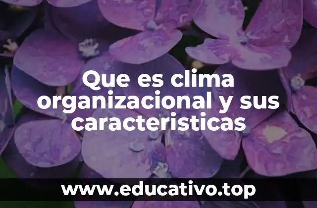 Que es clima organizacional y sus caracteristicas