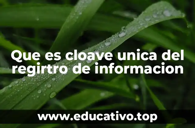 Que es cloave unica del regirtro de informacion