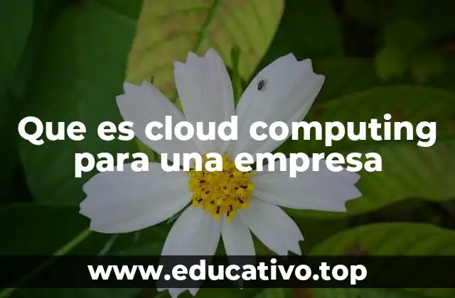 Que es cloud computing para una empresa