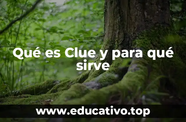 Qué es Clue y para qué sirve