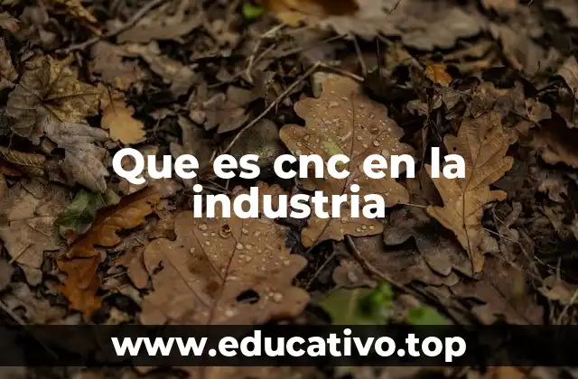 La evolución de la automatización en la producción