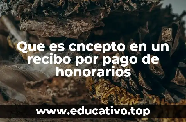 Que es cncepto en un recibo por pago de honorarios