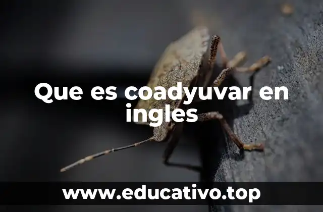 Que es coadyuvar en ingles