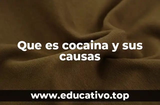 Que es cocaina y sus causas