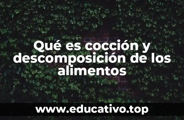 Qué es cocción y descomposición de los alimentos