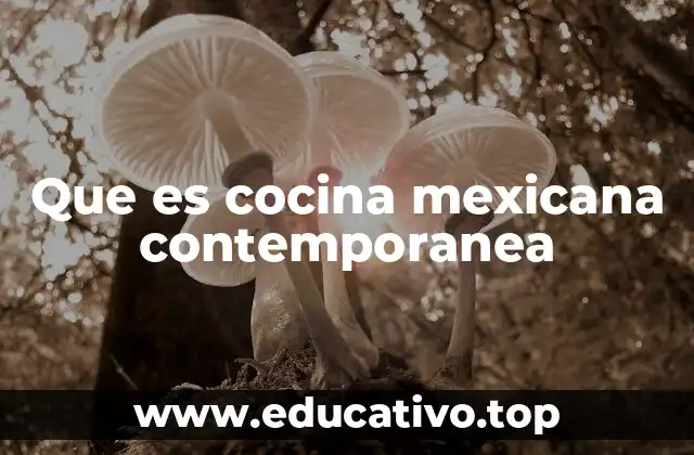 Que es cocina mexicana contemporanea