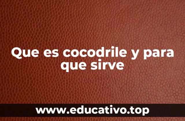 Cómo Cocodrile puede transformar la gestión de tareas